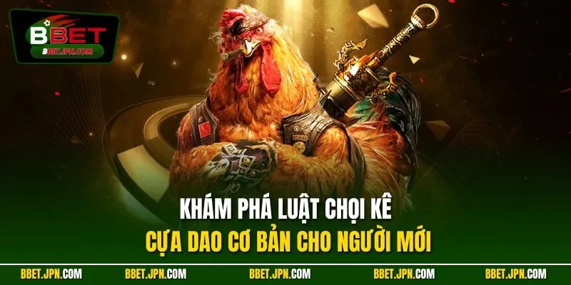 Khám phá luật chọi kê cựa dao cơ bản cho người mới