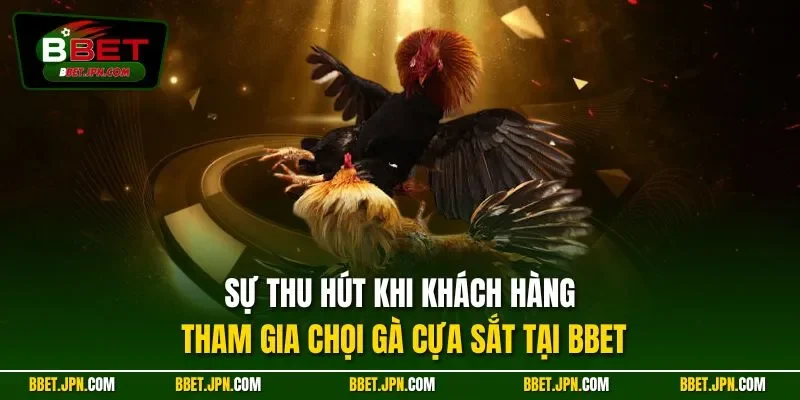 Sự thu hút khi khách hàng tham gia chọi gà cựa sắt tại BBET
